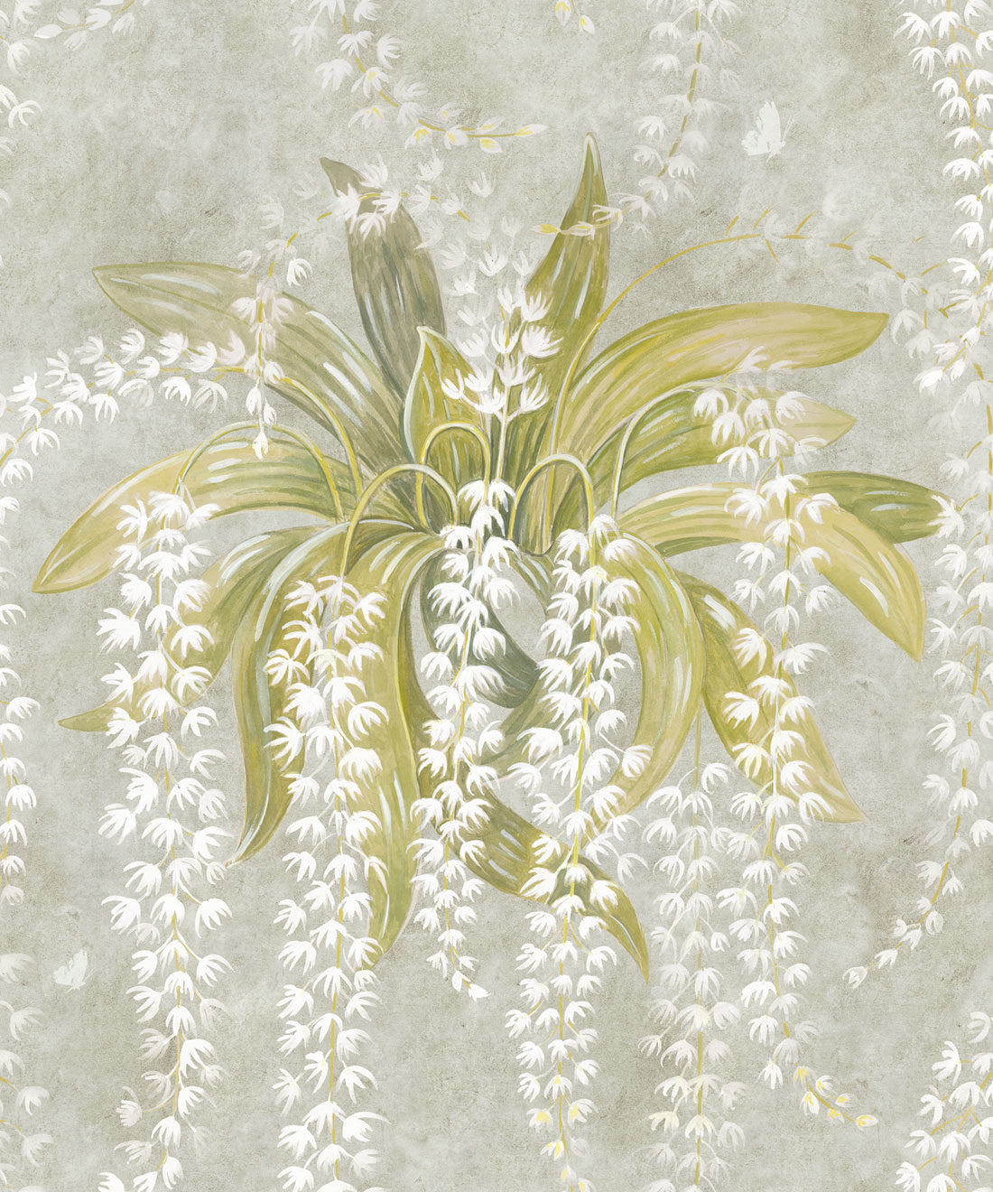 Orchid Wallpaper