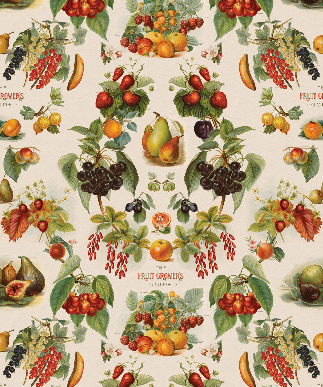 The Fruit Growers Guide Wallpaper • Erstwhile • Swatch