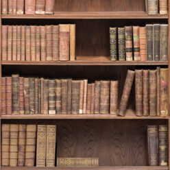 Bookshelf Wallpaper