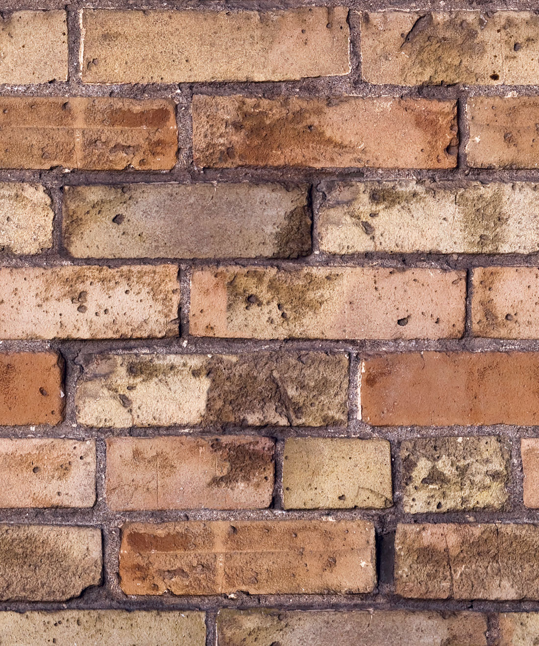 Old Brown Bricks Wallpaper • Kemra • Swatch