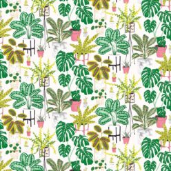 House Plants Wallpaper