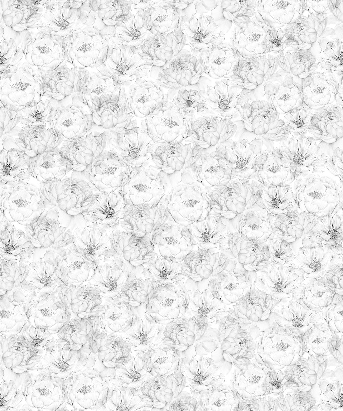 Wallpaper-Republic-PeoniesAnemones-1-2