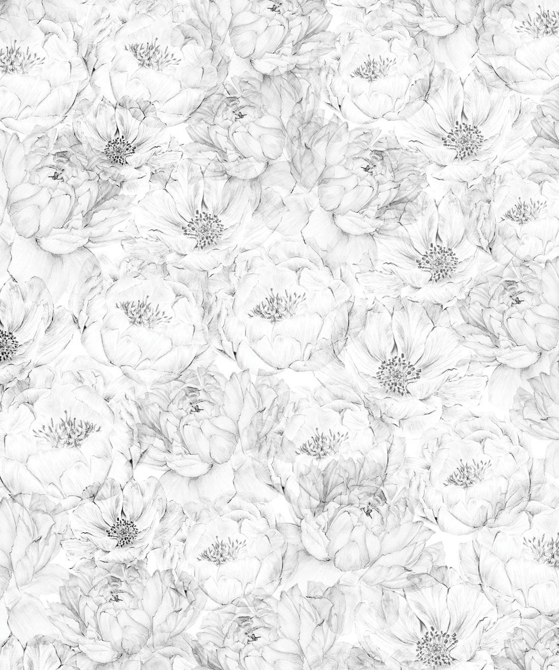 Peonies & Anemones Wallpaper • Wallpaper Republic • Swatch