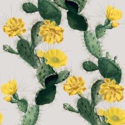 Alluring Cactus wallpaper Red day
