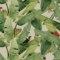 Jungle Fever Wallpaper