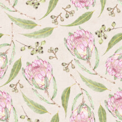 Proteas Gumnuts Wallpaper