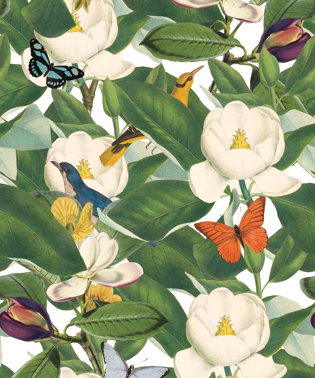 Magnolia Bloom Wallpaper • Wallpaper Republic • Swatch