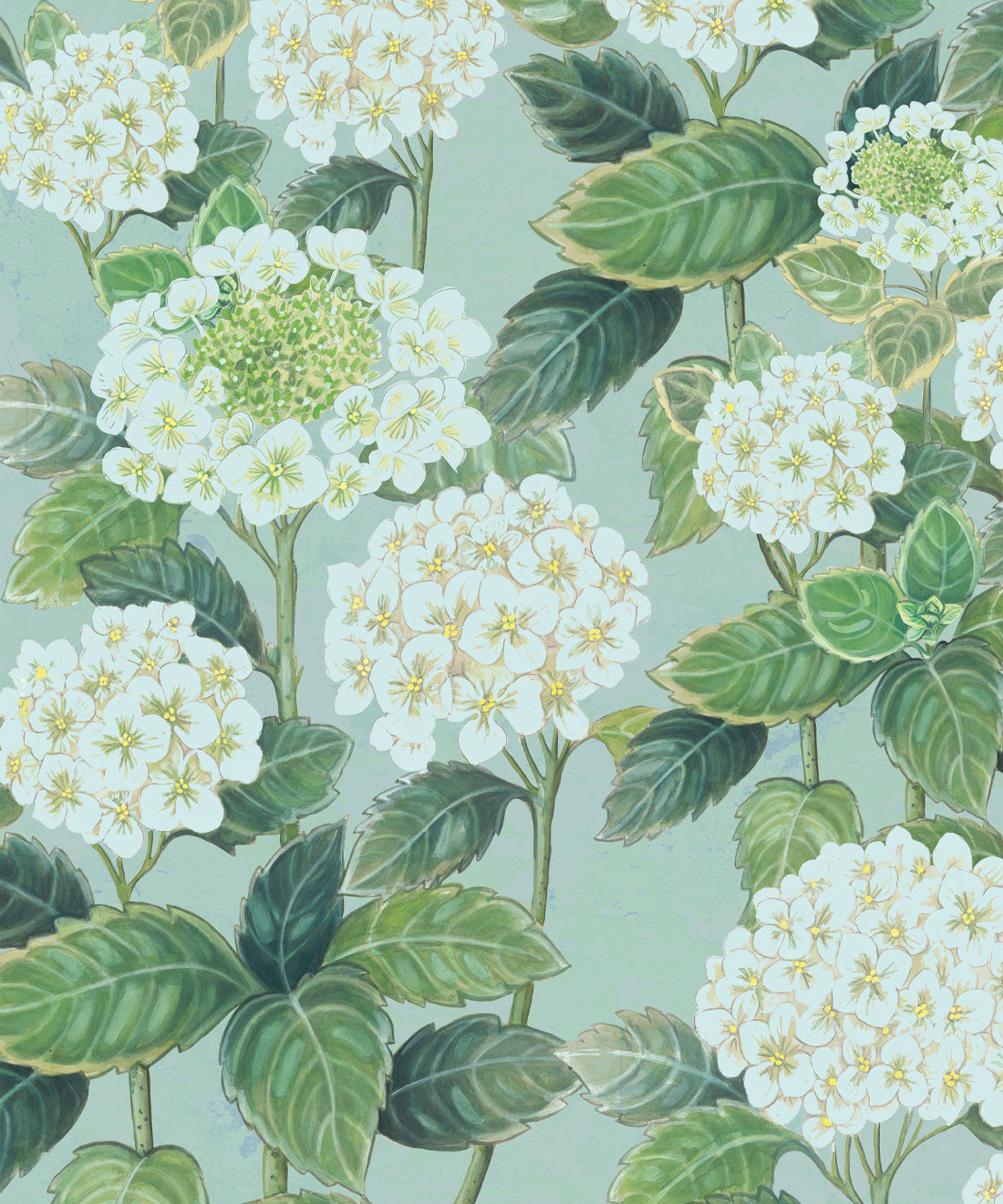 Hydrangea Garden Wallpaper • Bethany Linz • Aqua • Swatch