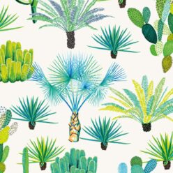 Cacti Wallpaper • Desert Cactus Wallpaper • Jacqueline Colley • Swatch