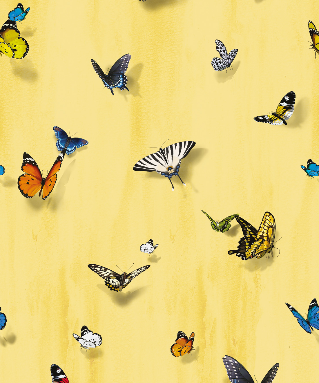 Papilio Wallpaper • Kingdom Home • Sunrise • Swatch