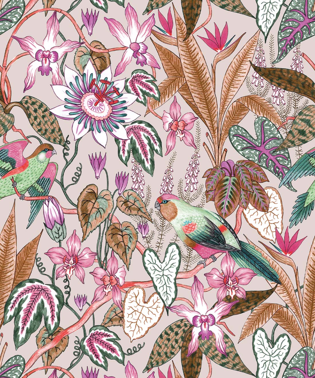 Parrot Jungle Wallpaper • Wallpaper Republic • Oatmeal • Swatch