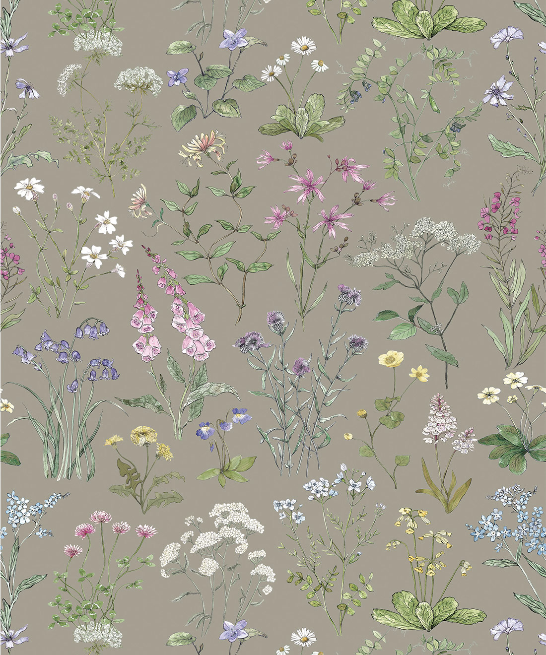 Wild Meadow Wallpaper • Hackney & Co • French Grey • Swatch