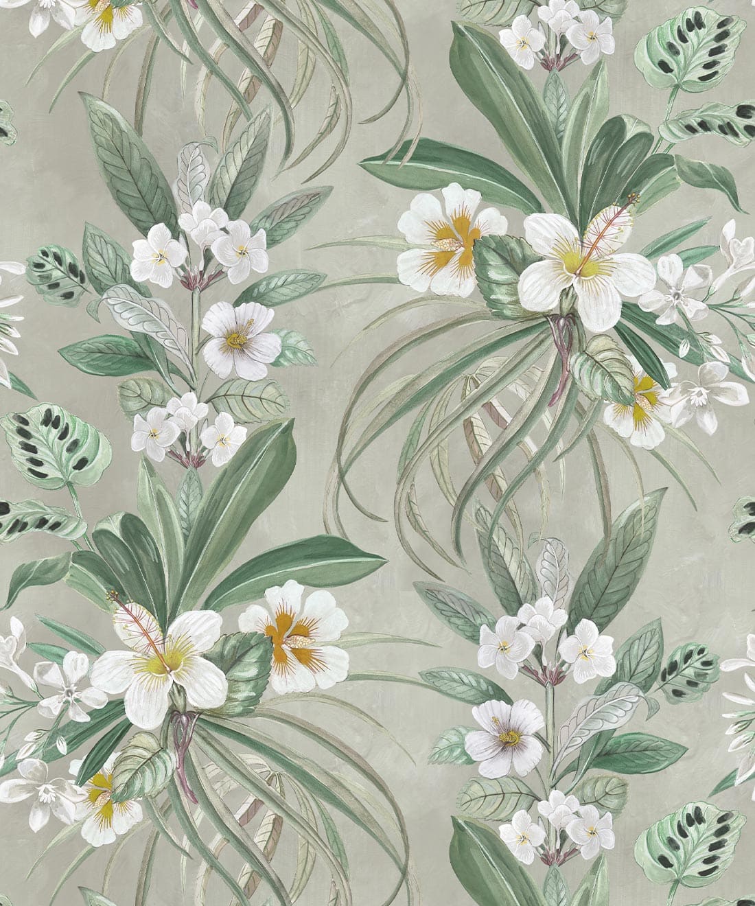 Hibiscus at Double Bay Wallpaper • Bethany Linz • Beige • Swatch