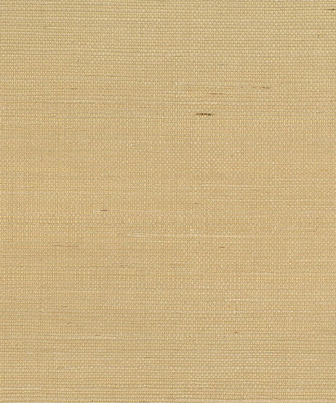 Spring Sisal Grasscloth Wallpaper • Grasscloths & Naturals • Biscuit • Swatch