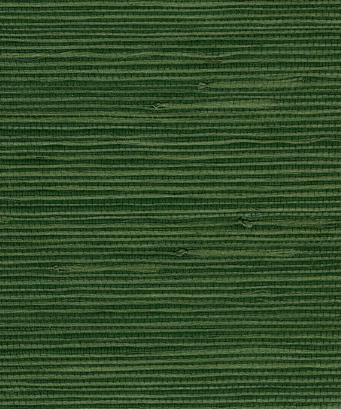 Jungle Jute Grasscloth Wallpaper • Grasscloths & Naturals • Swatch