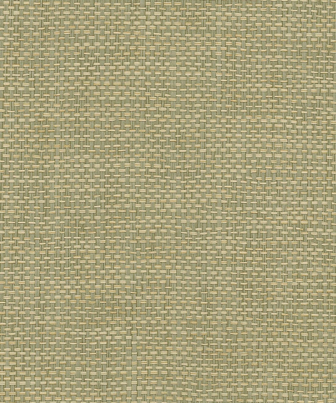 Olive Paperweave Wallpaper • Grasscloths & Naturals • Swatch