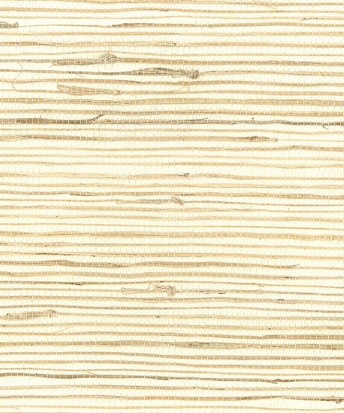 Sandy Jute Grasscloth Wallpaper • Grasscloths & Naturals • Swatch
